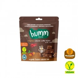 HUMM ORGANIK GLUTENSIZ VEGAN KAKAOLU VE FINDIKLI KEK