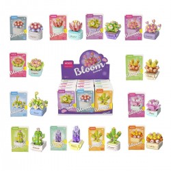 SUNMAN BLOOM BOUTIQUE SUKULENT SAKSI 